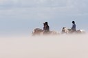 BUITEN BEELD Foto: 27459