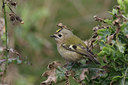 BUITEN BEELD Foto: 27525