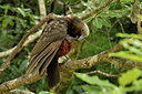 BUITEN BEELD Foto: 27557