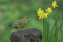 BUITEN BEELD Foto: 27561