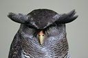 BUITEN BEELD Foto: 27578