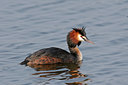 BUITEN BEELD Foto: 27600