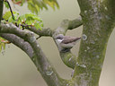 BUITEN BEELD Foto: 27613