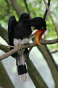 BUITEN BEELD Foto: 27626