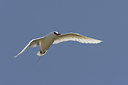 BUITEN BEELD Foto: 27651
