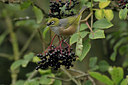 BUITEN BEELD Foto: 27664