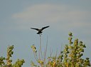 BUITEN BEELD Foto: 27736