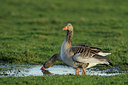 BUITEN BEELD Foto: 27756
