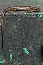 BUITEN BEELD Foto: 27785