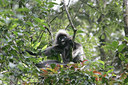 BUITEN BEELD Foto: 27796