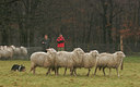 BUITEN BEELD Foto: 27824