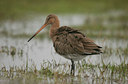 BUITEN BEELD Foto: 27831