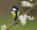 BUITEN BEELD Foto: 27835