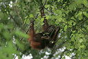 BUITEN BEELD Foto: 27846