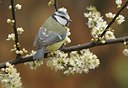 BUITEN BEELD Foto: 27896