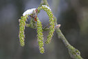 BUITEN BEELD Foto: 27986