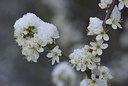 BUITEN BEELD Foto: 27988
