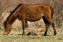 BUITEN BEELD Foto: 279034