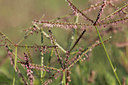 BUITEN BEELD Foto: 279046