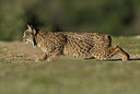 BUITEN BEELD Foto: 279050