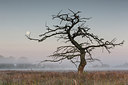 BUITEN BEELD Foto: 279091