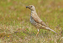 BUITEN BEELD Foto: 279093