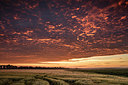 BUITEN BEELD Foto: 279149