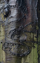 BUITEN BEELD Foto: 279151