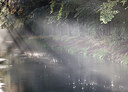 BUITEN BEELD Foto: 279154
