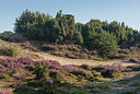 BUITEN BEELD Foto: 279155