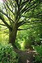 BUITEN BEELD Foto: 279222