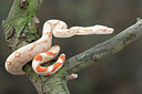 BUITEN BEELD Foto: 279278