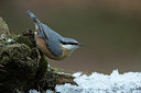 BUITEN BEELD Foto: 279289