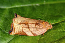BUITEN BEELD Foto: 279303