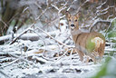 BUITEN BEELD Foto: 279389