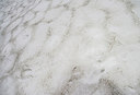 BUITEN BEELD Foto: 279411