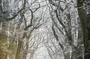 BUITEN BEELD Foto: 279433