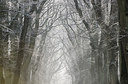 BUITEN BEELD Foto: 279437