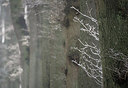 BUITEN BEELD Foto: 279444
