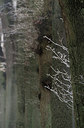 BUITEN BEELD Foto: 279450