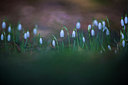 BUITEN BEELD Foto: 279536