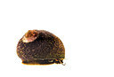 BUITEN BEELD Foto: 279559