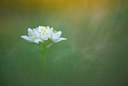 BUITEN BEELD Foto: 279660