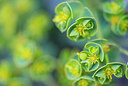 BUITEN BEELD Foto: 279691