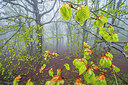 BUITEN BEELD Foto: 279744