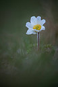 BUITEN BEELD Foto: 279862
