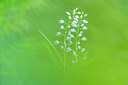 BUITEN BEELD Foto: 279874