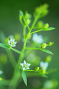 BUITEN BEELD Foto: 279900