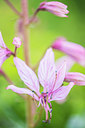 BUITEN BEELD Foto: 279909