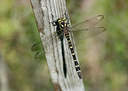 BUITEN BEELD Foto: 279919